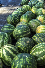 Organic Fruits and Vegetables in Farmers Market : Wilson Park, T