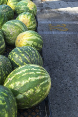 Organic Fruits and Vegetables in Farmers Market : Wilson Park, T