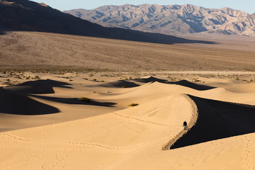 Person walking at distance in Mesquite Flats Sand Dunes in Death Valley National Park, CA