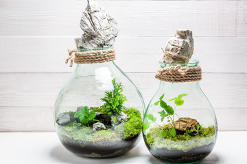 Small rain forest in a jar, save the earth idea