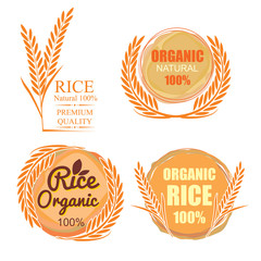 grain organic natural product with black background. concept vector illustration ,Rice gold logo...