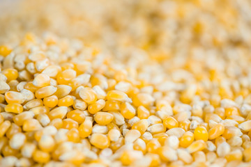 Corn (background image)