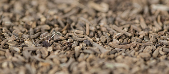 Dried Valerian roots as background image or as texture