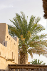 Liwa Desert