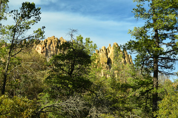 Mt Lemmon, Arizona