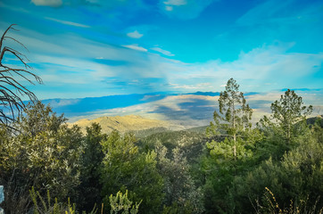 Fototapeta na wymiar Mt Lemmon, Arizona