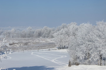 Snow Cover Field
