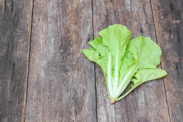 chinese cabbage organic vegetables on  wooden table