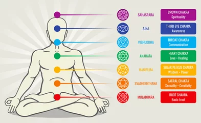 Muurstickers Human energy chakra system, ayurveda love asana vector illustration © MicroOne