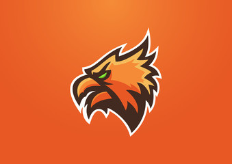 Obraz premium phoenix bird sport mascot