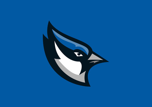 Blue Jay Logo Isolated Blue Jay On White Background Stock Illustration -  Download Image Now - iStock
