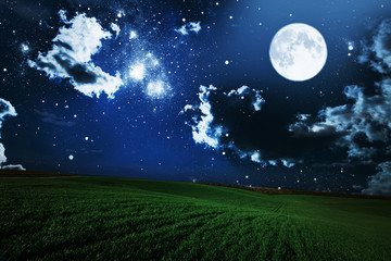 Fototapeta na wymiar 149544 green night field. star sky