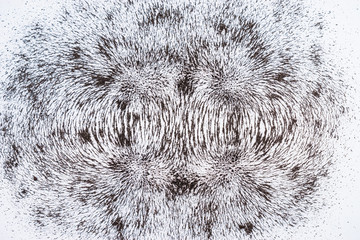 iron filings show magnetic field lines. Science Magnetic Field. Physics magnetic field. Two Magnetic Field.