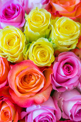 Fototapeta na wymiar Bouquet of multicolored roses for wedding ceremony