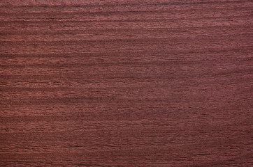 Wood texture. Lining boards wall. Wooden background pattern. Showing growth rings. Brown color
