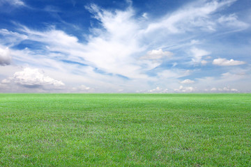 Fototapeta na wymiar Green Field and Blue sky view.