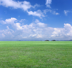Green Field and Blue sky view.