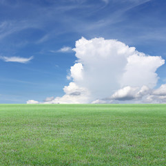 Green Field and Blue sky view.