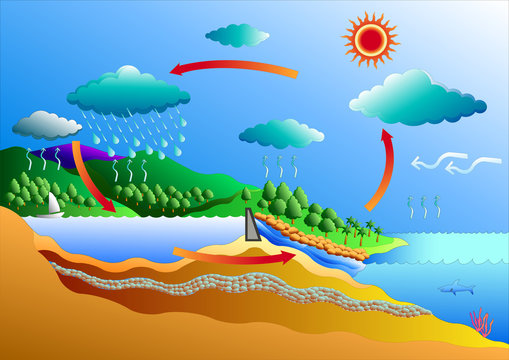water cycle vector