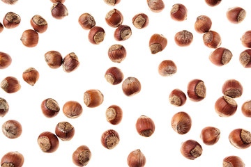 Hazelnut on white background. Pattern of selected hazel close-up. For vegetarians.
