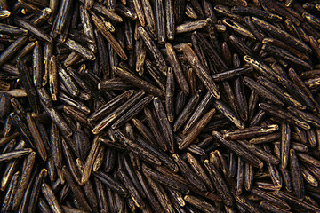 Black rice close-up background. Heap wild brown unpolished rice for vegetarians.
