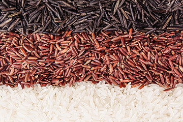 Strips of red, black and white rice close-up. Rice texture background. Macro.