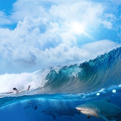Naklejka premium ocean view with sunlight surfer and wild sharks underwater