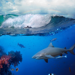 underwater ocean story with surfer and shark