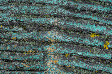 old spotty stained concrete wall texture background. blue, gray color. covered with moss