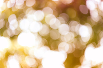 Obraz premium Abstract nature bokeh blurred background.