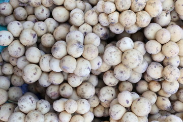 Pile of fresh Wollongong fruit.