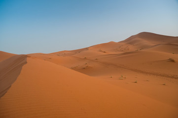 Fototapeta na wymiar View over the sand dunes of the Sahara desert in Morocco