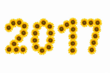 Happy New Year 2017 sunflower
