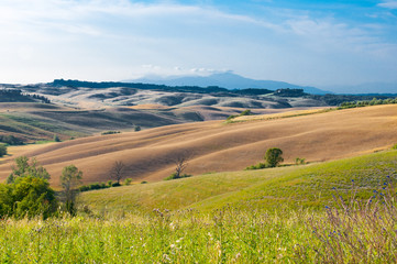 Fototapeta premium Toskana Landschaft vor Sonnenuntergang