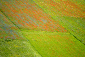 Castelluccio di Norcia