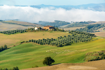 Toskana Landschaft mit Nebel