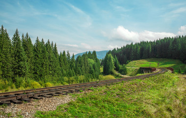 railway path in the green summer forest