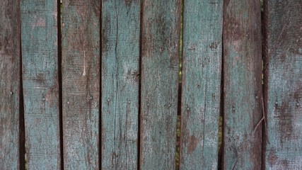 tree structure, wooden fence, wooden background