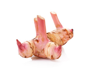 Greater galangal isolated on the white background