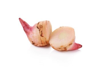 Greater galangal isolated on the white background