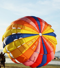 Obraz premium parasailling on beach, beach, activitie, 