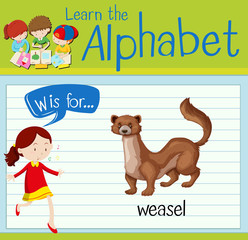 Flashcard alphabet W is for weasel
