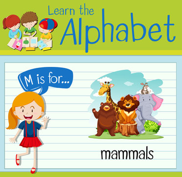 Flashcard alphabet M is for mammals