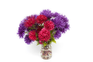 Bouquet of red and purple asters on a white background.