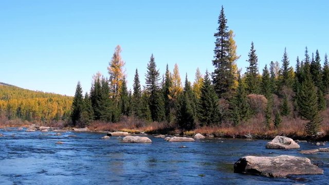 Mountain river Multa near lake Lower Multinskoe in Altai at autumn time, Russia