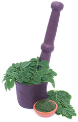 Edible moringa leaves in a vintage mortar with ground paste