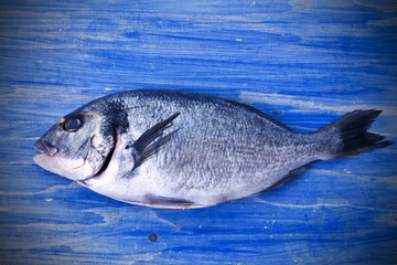 Fish, golden on blue wooden background
