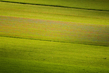 Obraz premium Castelluccio di Norcia