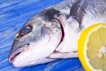 Fish, golden on blue wooden background