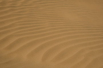 Fototapeta na wymiar Sand Background Beach Desert Shape structure